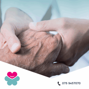 visita geriatrica